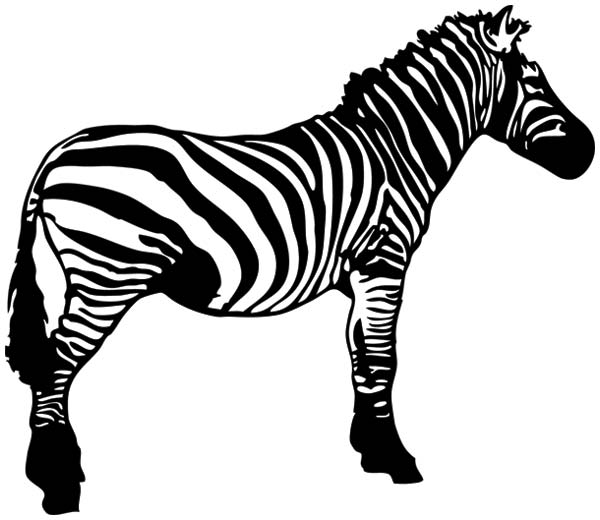 600x520 Zebra Free Vector Clip Art Download Free Vector Art Free Vectors