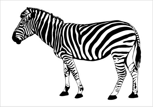 Zebra Silhouette Vector at Vectorified.com | Collection of Zebra ...