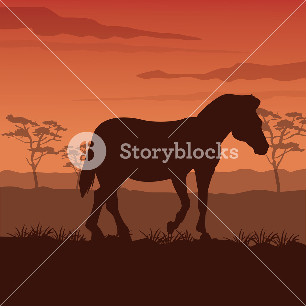 1000x1000 Zebra Silhouette On Twilight Vector Illustration Graphic Design