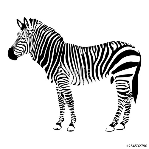 Download Zebra Silhouette Vector at Vectorified.com | Collection of ...