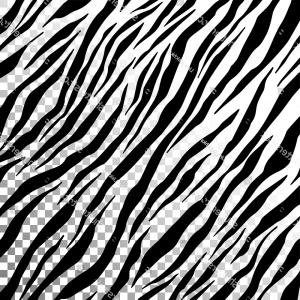 300x300 Zebra Stripes On Transparent Background Vector Catchsplace