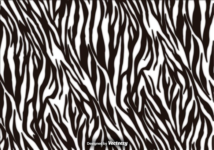 700x490 Zebra Stripes Vector Texture Background