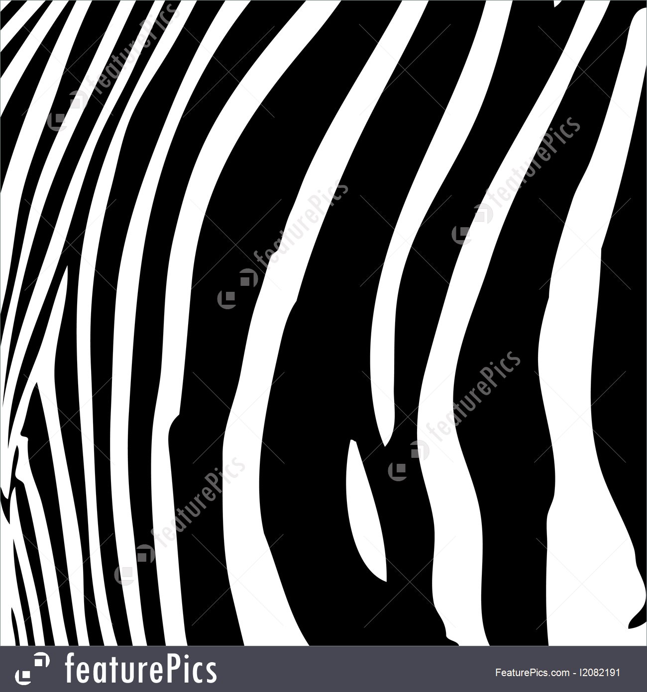 Zebra Stripes Vector at Collection of Zebra Stripes