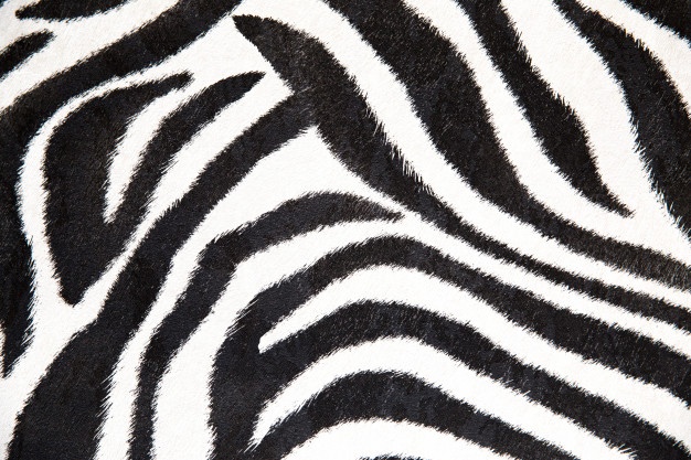 626x417 Zebra Stripes Vectors, Photos And Free Download