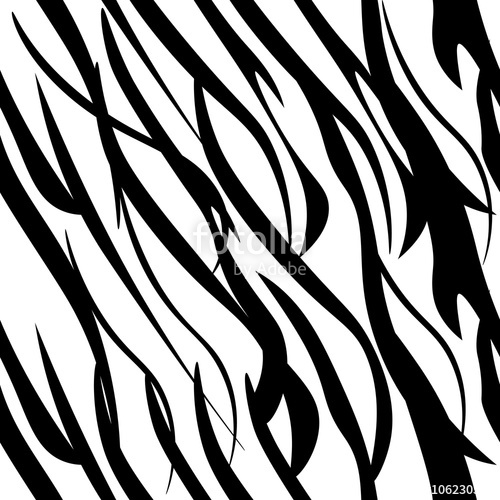 500x500 Zebra Stripes Stock Image And Royalty Free Vector