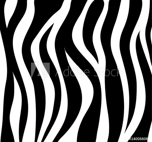 500x469 Zebra Stripes Black And White Abstract Background As Skin Vector