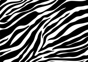 285x200 Zebra Stripes Free Vector Graphic Art Free Download
