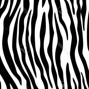 300x300 Photostock Vector Zebra Stripes Pattern Zebra Print Animal Skin