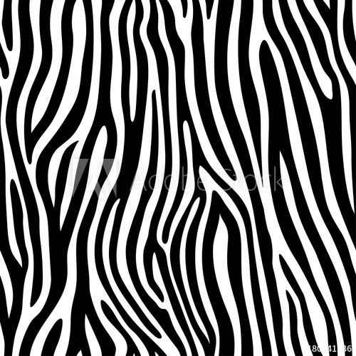 500x500 Seamless Zebra Skin Pattern Wallpaper With Black Stripes On White