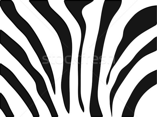 Vector Zebra Texture Black And White Vector Illustration Edmond 600x450 Vector Zebra Texture Black And White Vector Illustration Edmond