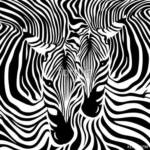 Zebra Couple Background Black And White, Vector Illustration 500x500 Zebra Couple Background Black And White, Vector Illustration