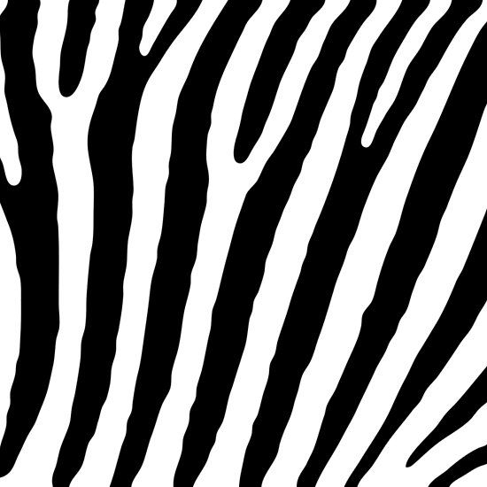 Zebra Lines Zebra, White, Black, Background, Vector, Striped 550x550 Zebra Lines Zebra, White, Black, Background, Vector, Striped