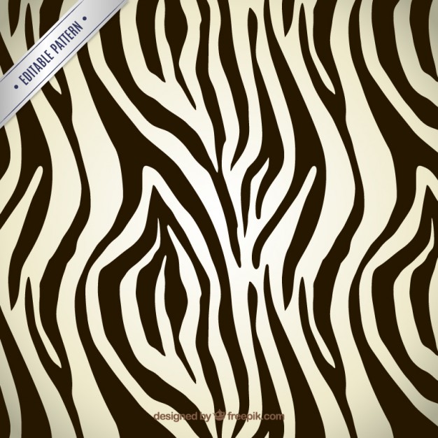 Zebra Stripes Vectors, Photos And Free Download 626x626 Zebra Stripes Vectors, Photos And Free Download