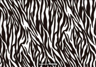 Zebra Texture Vector Background 310x217 Zebra Texture Vector Background