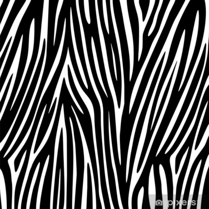 Zebra Texture Vector Wall Mural 700x699 Zebra Texture Vector Wall Mural