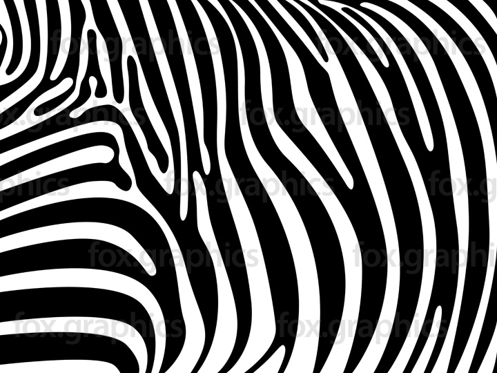 Zebra Skin Vector Pattern 720x540 Zebra Skin Vector Pattern