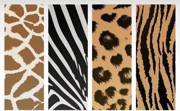 Zebra Texture Free Vector Download 599x368 Zebra Texture Free Vector Download