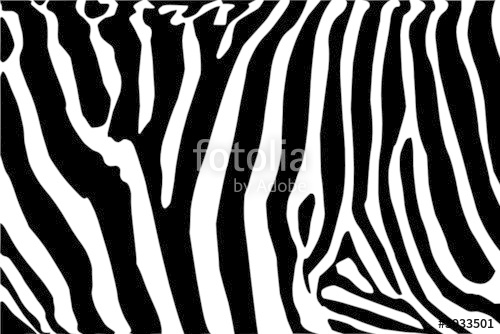 Vector 500x334 Vector