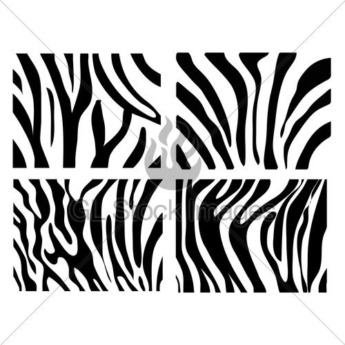 Set Of Vector Zebra Texture Black And White Gl Stock Images 500x500 Set Of Vector Zebra Texture Black And White Gl Stock Images