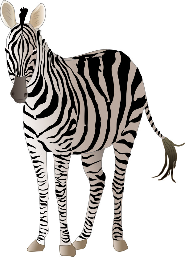 Realistic Zebra Vector Free Material Free Download 600x831 Realistic Zebra Vector Free Material Free Download
