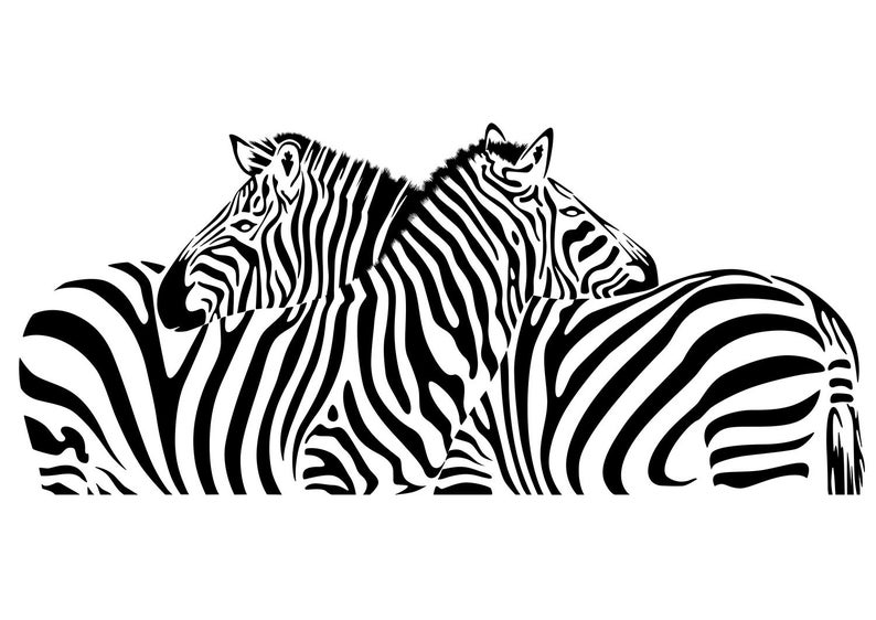 Two Zebra Illustration Zebra Vector Graphics Digital Etsy 794x562 Two Zebra Illustration Zebra Vector Graphics Digital Etsy