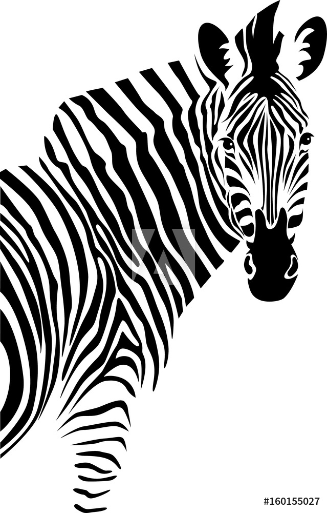 Fotografie, Obraz Zebra Vector Posters Cz 639x1000 Fotografie, Obraz Zebra Vector Posters Cz