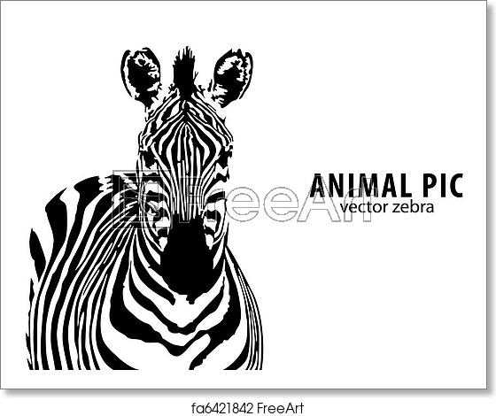 Free Art Print Of Vector Zebra Vector Zebra With Place For Text 560x470 Free Art Print Of Vector Zebra Vector Zebra With Place For Text
