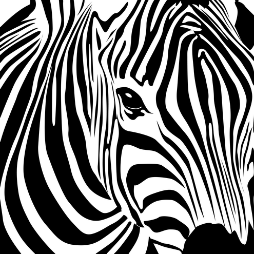 495x495 Zebra Art Vector Black And White Ideas Zebra Art, Zebras
