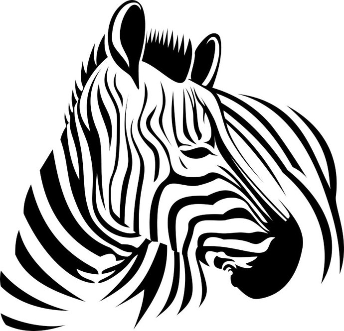 690x665 Zebra Graphics Design Dxf Png Cdr