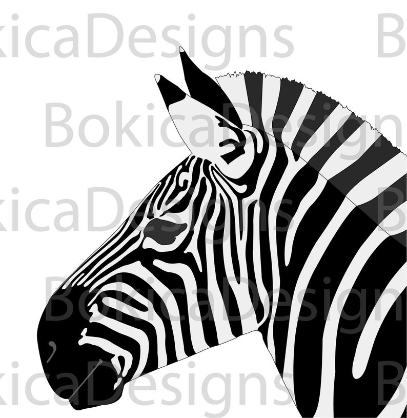 794x815 Detailed Illustration Of Zebra Vector Artwork Etsy