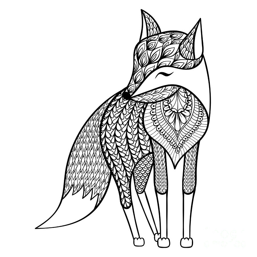 900x900 Zentangle Vector Happy Fox For Adult Digital Art