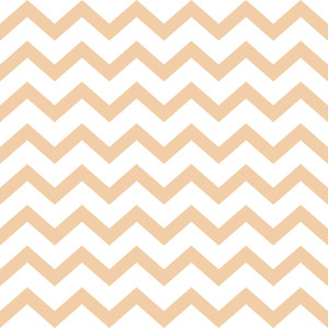 300x300 Cheron Seamless Pattern Beige Zigzag Vector Texture Herringbone