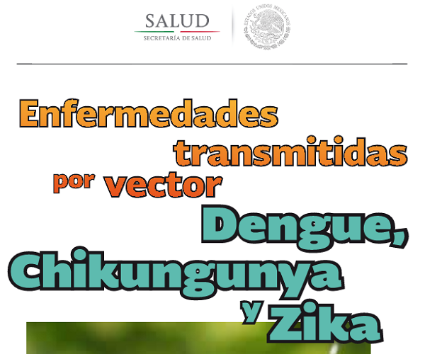 600x500 Enfermedades Transmitidas Por Vector Dengue, Chikungunya Y Zika