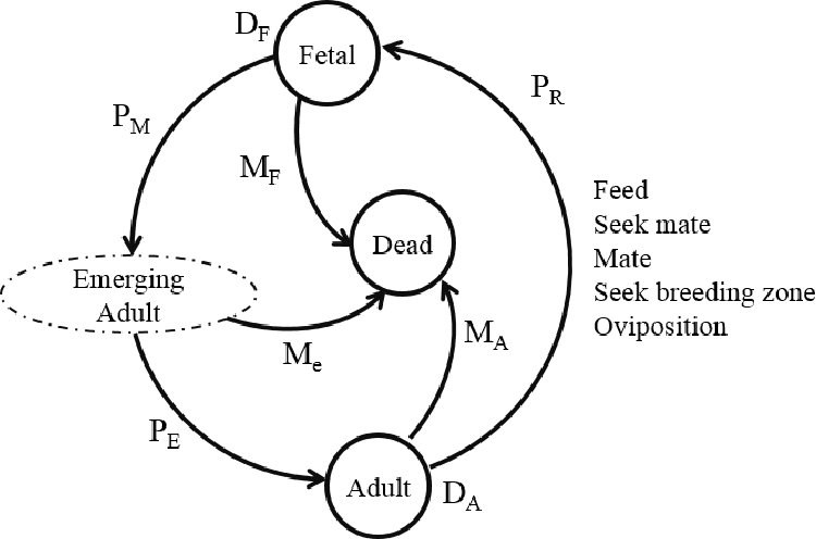 750x496 Figure From Evaluation Of Zika Vector Control Strategies Using