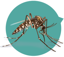 220x197 Integrated Mosquito Management Zika Virus Cdc