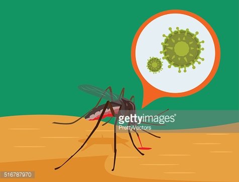 475x363 Zika Vector Flat Illustration Premium Clipart