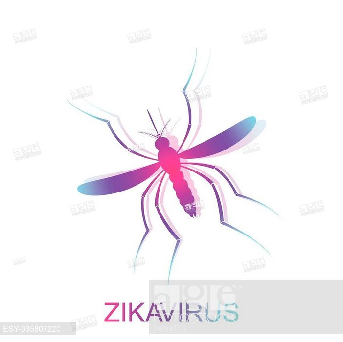 701x700 Zika Mosquito Vector Zika Virus Alert Zika Virus Concept, Stock