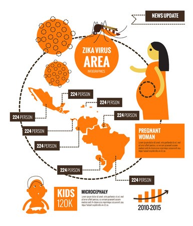 385x450 Zika Virus And Virus Area Infographics Thin Line Flat Design