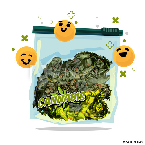 500x500 Marijuana In Zip Lock Plastic Bag