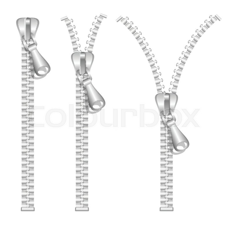 800x800 Silver Zip Set Different Types Vector Stock Vector Colourbox