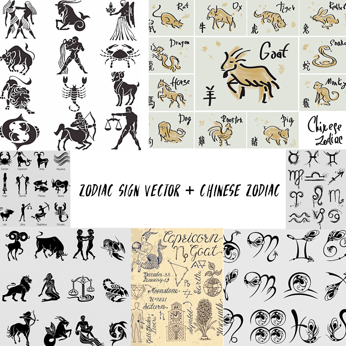 1200x1200 Zodiac Sign Vector And Chinese Zodiac Signs Set Free Download