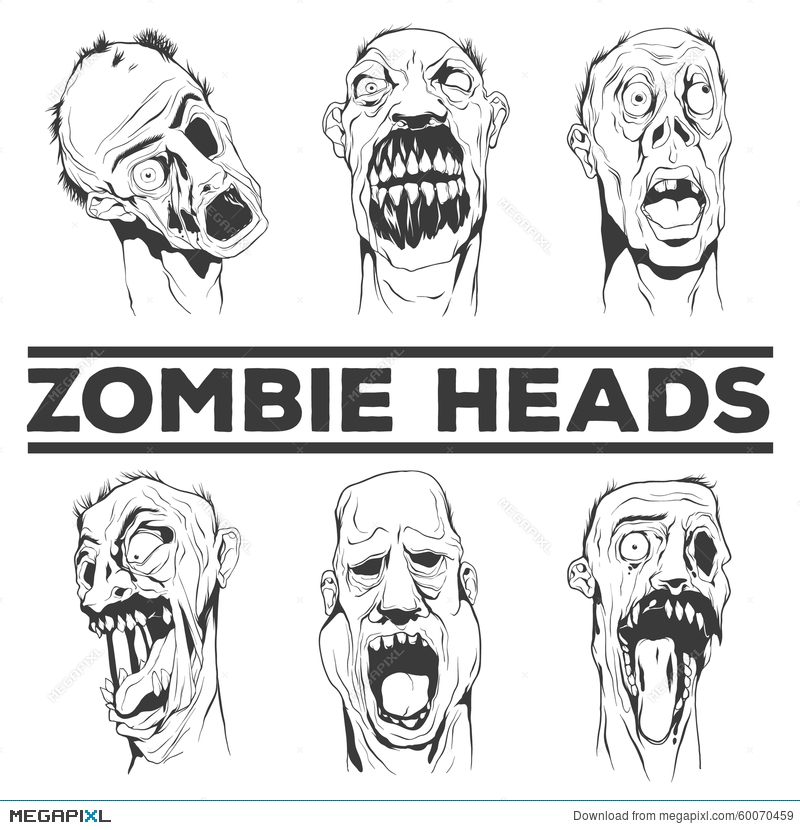 800x830 Zombie Heads Vector Illustrations Illustration