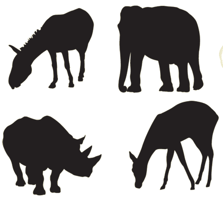 Download Zoo Animals Vector at Vectorified.com | Collection of Zoo ...
