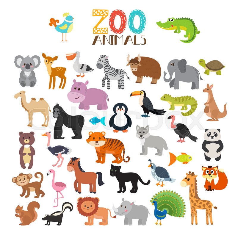 Vector Collection Of Zoo Animals Set Stock Vector Colourbox 800x800 Vector Collection Of Zoo Animals Set Stock Vector Colourbox