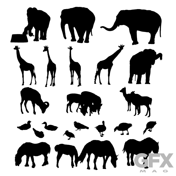 Zoo Animals Vector at Vectorified.com | Collection of Zoo Animals ...