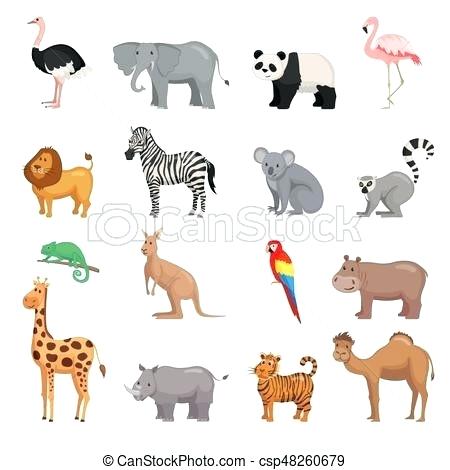 Zoo Animals Vector at Vectorified.com | Collection of Zoo Animals ...