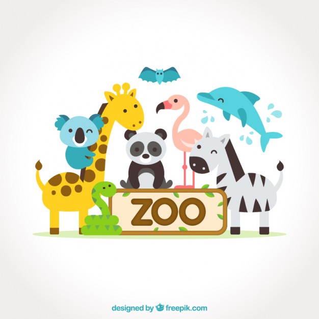 626x626 Nice Flat Animals Zoo Vector Premium Download