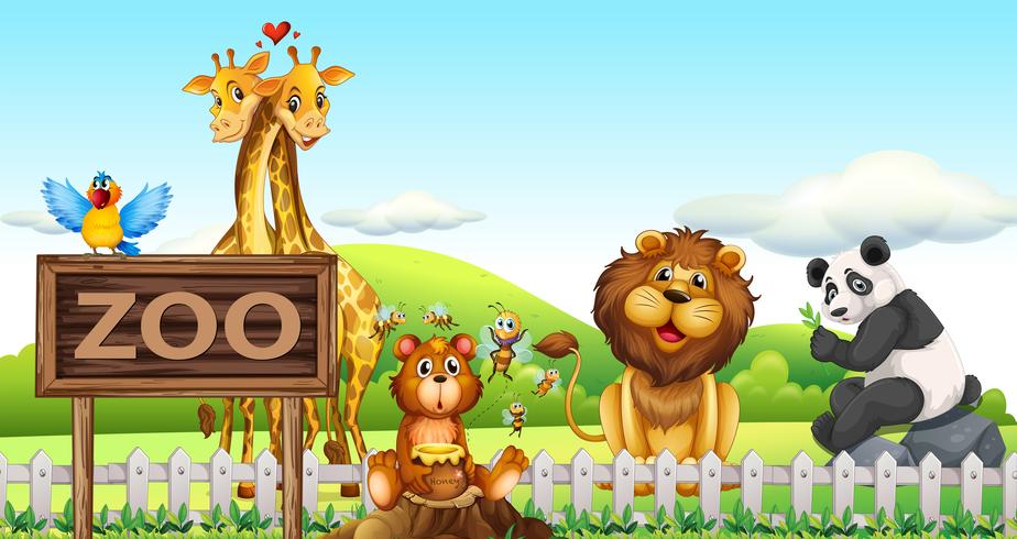 924x490 Animals In The Zoo