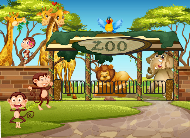 626x456 Wild Animals In The Zoo Vector Premium Download