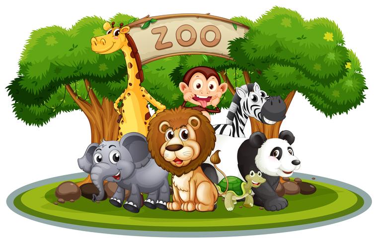 759x490 Cute Animals In The Zoo